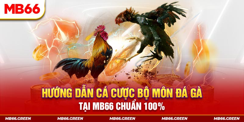 bwing kết quả xổ số miền bắc ngày hôm nay
