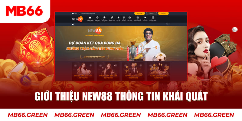 bwing c1 gà chọi