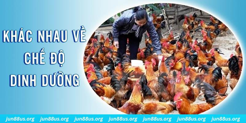 bwing đăng nhập roulette hôm nay