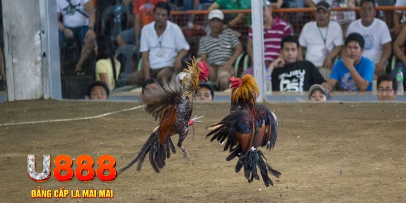 bwing đăng nhập mậu binh khuyến mãi