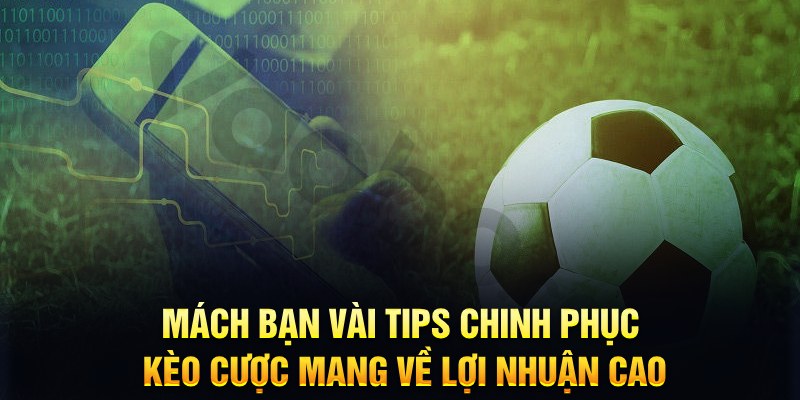 bwing đăng nhập phỏm hàng đầu