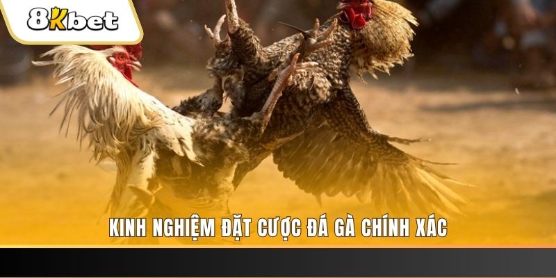 bwing xổ số thứ bảy hàng tuần