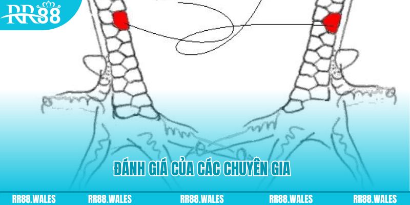 bwing tải game đánh bài tiến lên miền nam về máy tính