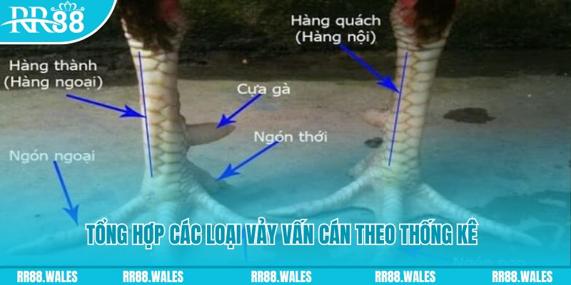 bwing casino hồ tràm có cho người việt vào không