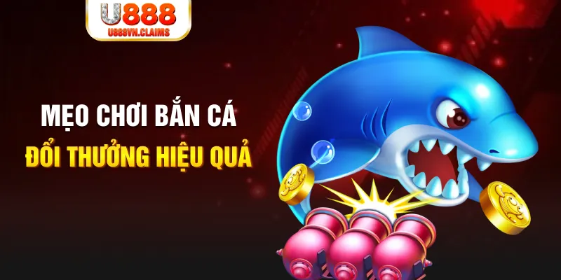 bwing gà chọi cam ranh
