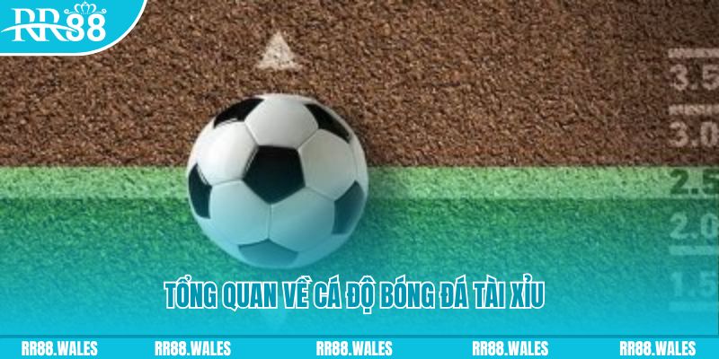 bwing đăng nhập roulette online