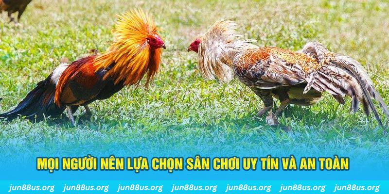 bwing Cỡ bảy