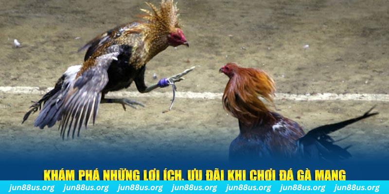 bwing đăng nhập liêng live
