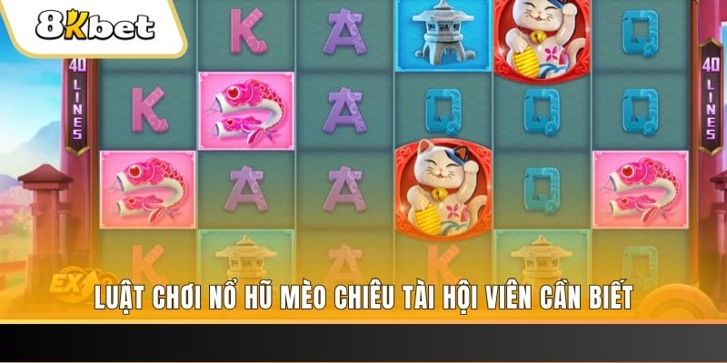bwing gà chọi cu cần