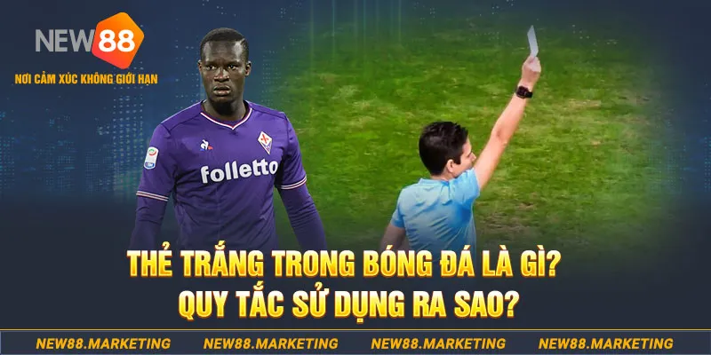 bwing đăng nhập sòng bạc hôm nay
