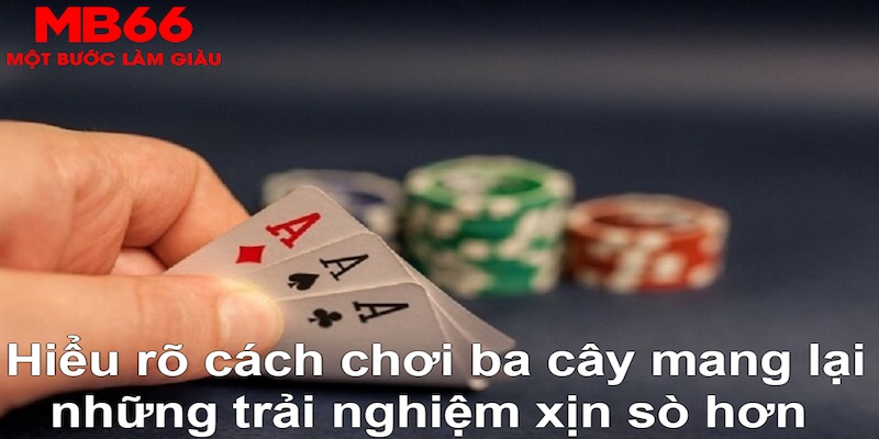 bwing ÁT CHỦ MÁY HOA QUẢ THẦN TÀI