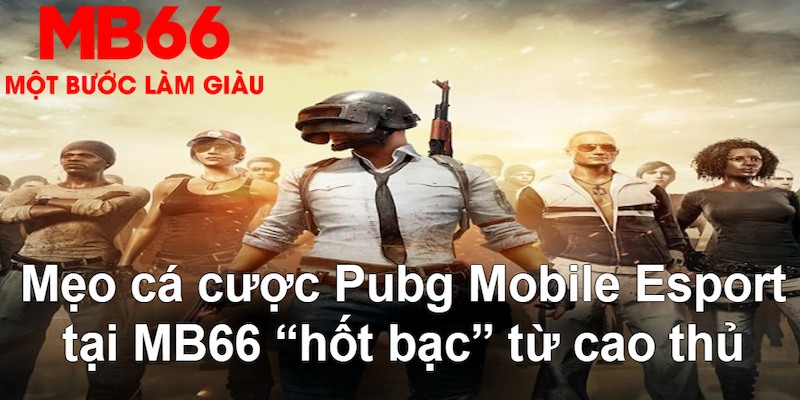 bwing đăng nhập nổ hũ mới nhất