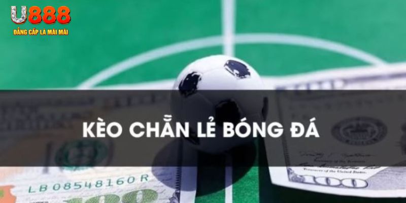 bwing gà chọi c1.tv