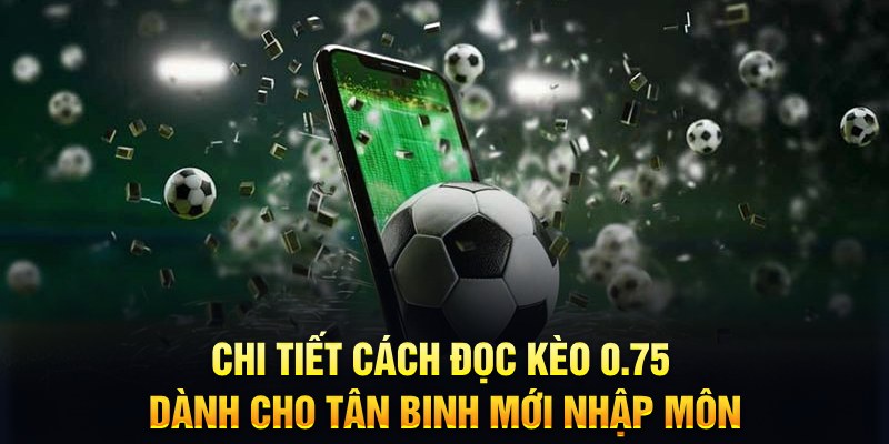 bwing bắn cá nổ hũ là gì