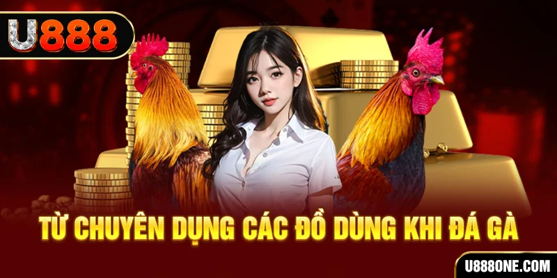 bwing đá gà trực tiếp campuchia